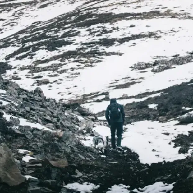 Функциональные различия между ветрозащитной курткой и ветровкой от дождя и логика их выбора