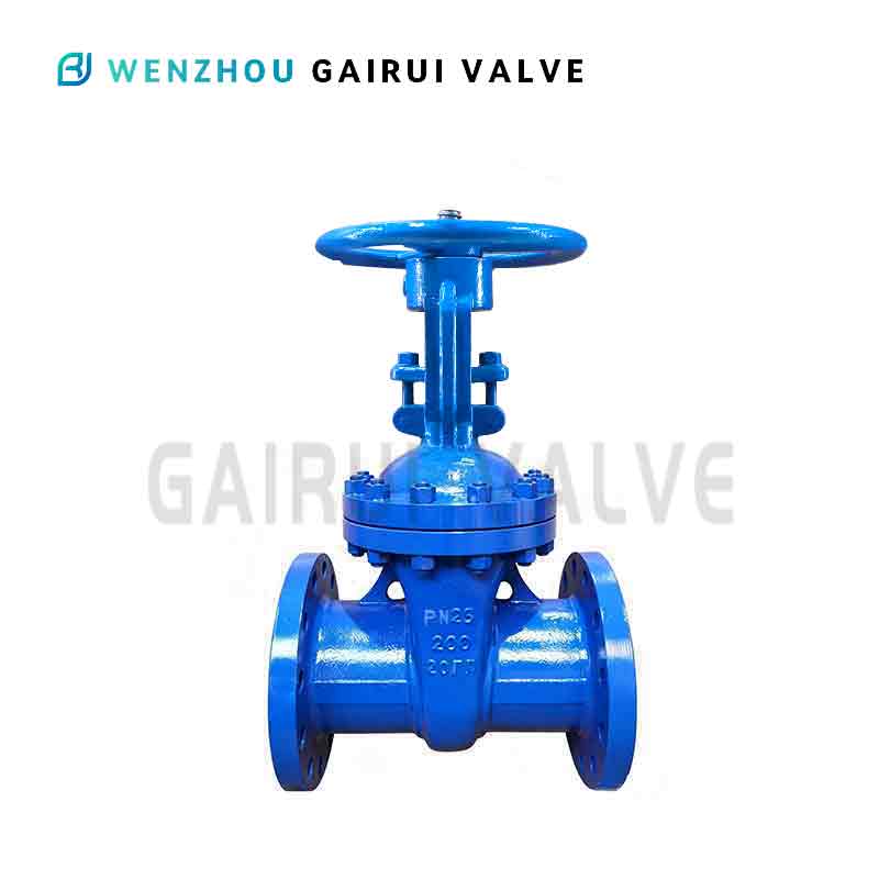 Steel wedge gate valve with rising spindle DN50-1400 PN25