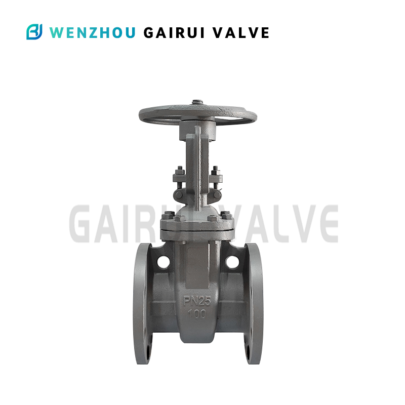 Steel wedge gate valve with rising spindle DN50-1400 PN25