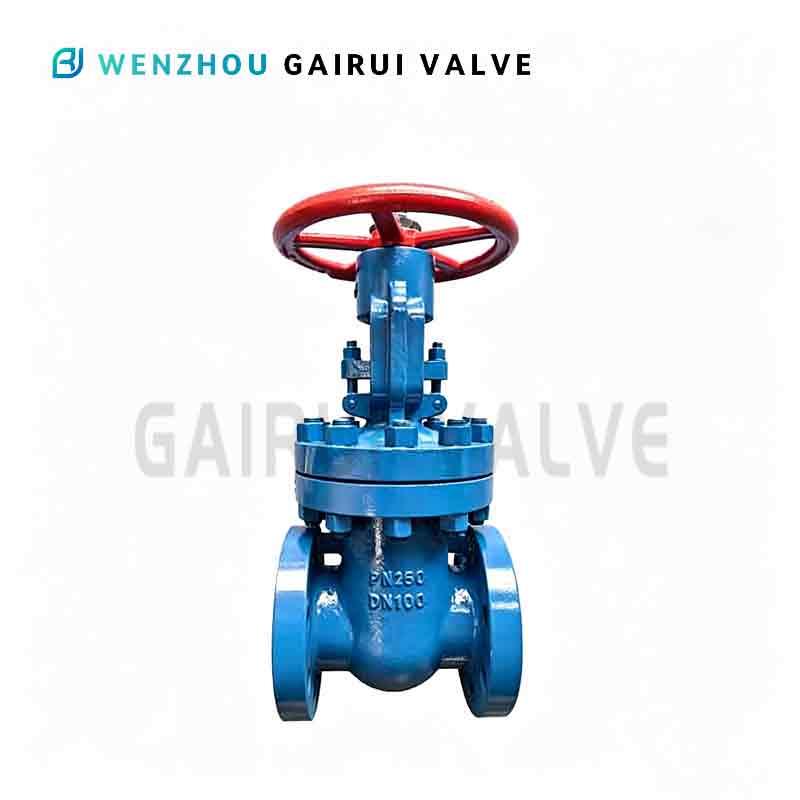 Steel wedge gate valve with rising spindle DN50-300 PN250