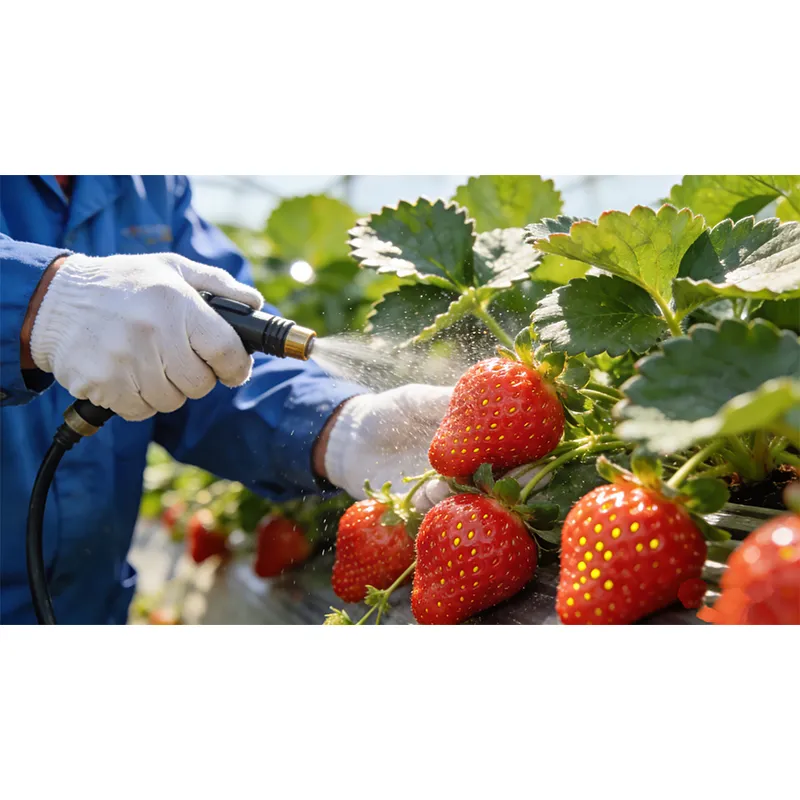 Водорастворимые удобрения на основе гуминовых кислот становятся новым выбором для точного земледелия, а интеллектуальная модель удобрения повышает эффективность использования