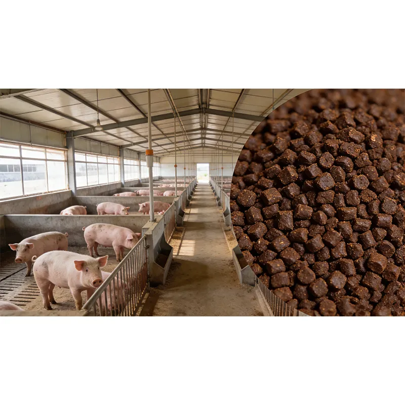 Расширение применения гуминовых кислот в экологической рекультивации для содействия контролю загрязнения окружающей среды