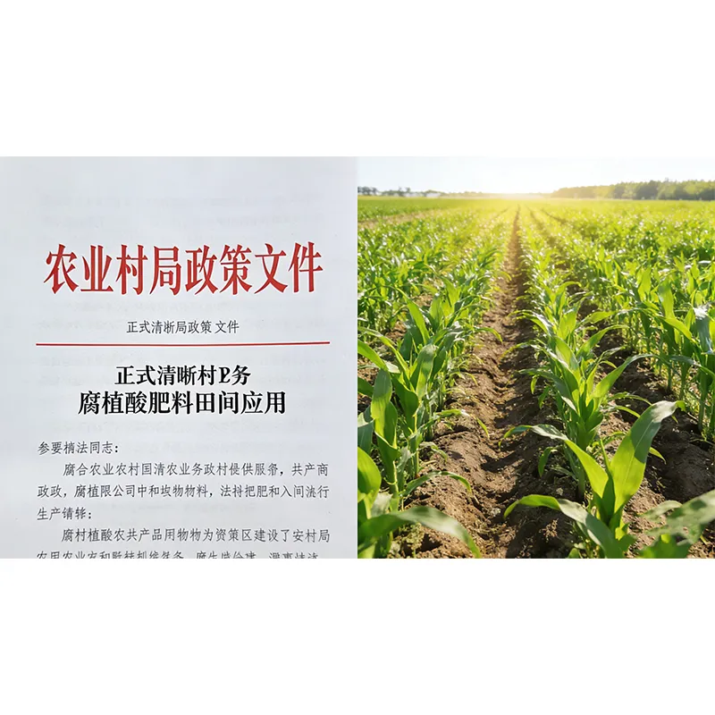 Вступает в силу новая национальная политика по экологической трансформации сельского хозяйства, открывающая новые возможности для индустрии гуминовых кислот