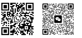 WhatsApp 334